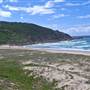 Forster and surrounds