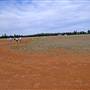 Gilgandra Aerodrome