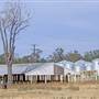 Gilgandra Town