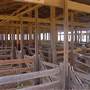 Gilgandra Showground
