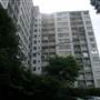 Apartment Building