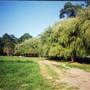 Glenvale Park