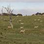 Private Property - Goulburn Homestead