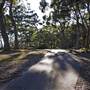 Green Patch Campground - Booderee National Park