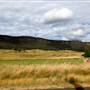 Hartley, Ambermere Drive 2012
