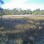 Hawks Nest Area