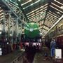 Heritage Steam Train Tours 3801