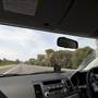 Hume Highway