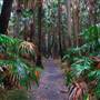 Hunter Region