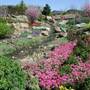 Hunter Valley Gardens