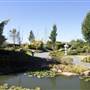 Hunter Valley Gardens