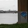 Iron Cove Bridge