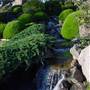 Japanese Gardens Cowra