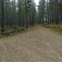 Jenolan State Forest