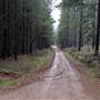 Jenolan State Forest