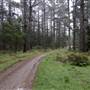 Jenolan State Forest