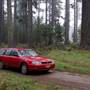 Jenolan State Forest