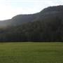 Kangaroo Valley Vistas
