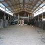 John Scott Kundabung Rodeo Grounds / Stables