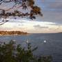 Lake Macquarie