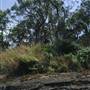 Lake Macquarie