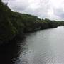 Lane Cove River