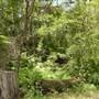 Lane Cove National Park