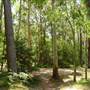 Lane Cove National Park