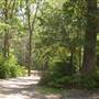 Lane Cove National Park