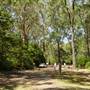 Lane Cove National Park