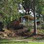 Lane Cove National Park