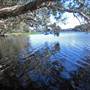 Lennox Head