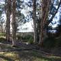 Myall Lakes National Park