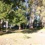 Myall Lakes National Park