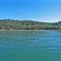 Patonga