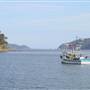 Patonga