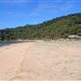 Patonga