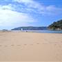 Patonga