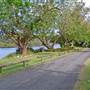Patonga