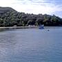 Patonga