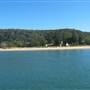 Patonga
