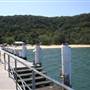 Patonga