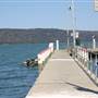 Patonga