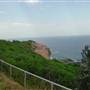 Redhead Beach