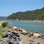 Patonga