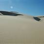 Stockton Dunes - Worimi National Park