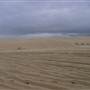 Stockton Dunes - Worimi National Park