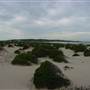 Stockton Dunes - Worimi National Park
