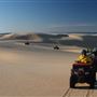 Stockton Dunes - Worimi National Park