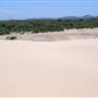 Stockton Dunes - Worimi National Park